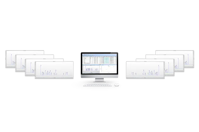 Chromatography Workstation