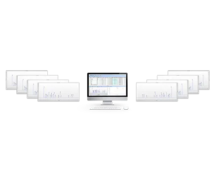 Chromatography Workstation