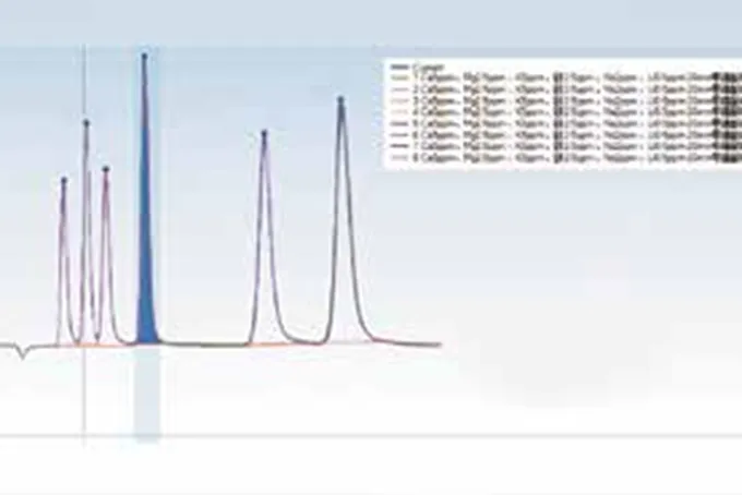 IC-50 Super Ion Chromatography System (IC-ED)
