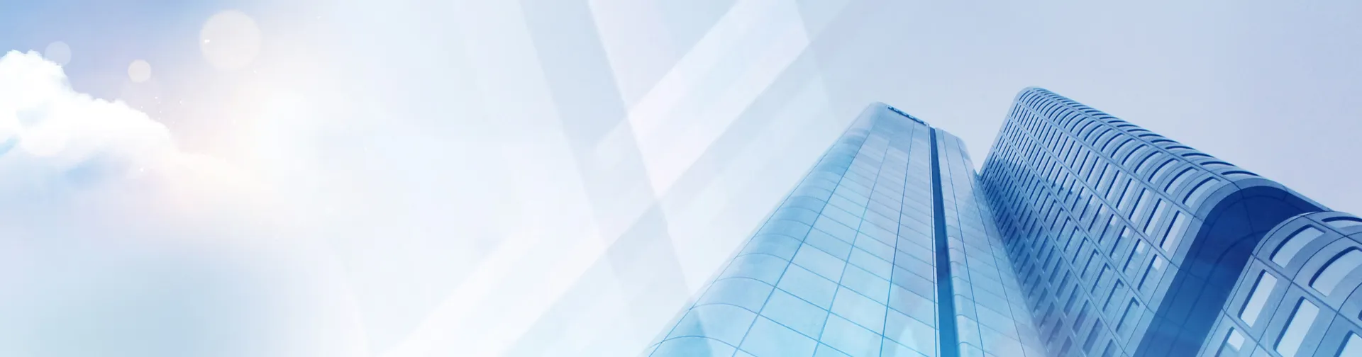 Company Profile